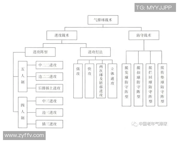 南京排球队在精英赛中的力量展现与战术分析